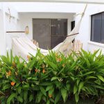 Exclusive Vaia Suite