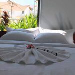 Exclusive Vaia Suite
